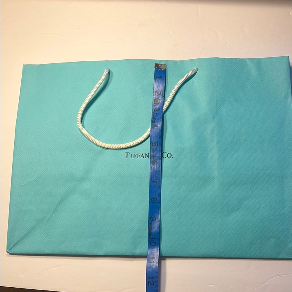 Tiffany & Co. Blue Shopping Bag Medium to Large Size, Check Measurements